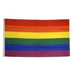 BANDERA ARCOIRIS ORGULLO LGTBI 160X90CM