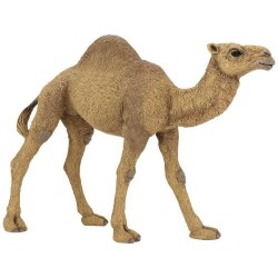 FIGURA DROMEDARIO ( PAPO )