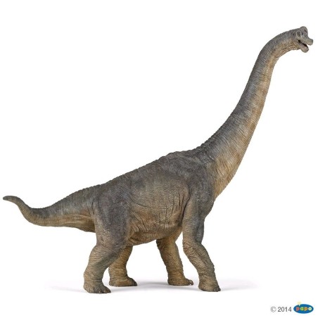 FIGURA BRACHIOSAURIO ( PAPO )