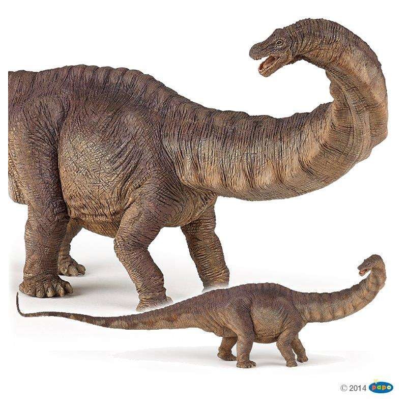 FIGURA APATOSAURUS ( PAPO )