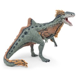 FIGURA CONCAVENATOR ( PAPO )