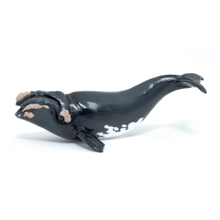 FIGURA BALLENA BOREAL ( PAPO ) 56057