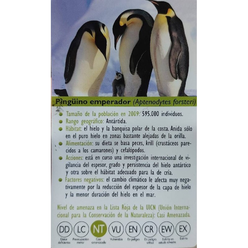 FIGURA PINGUINO EMPERADOR