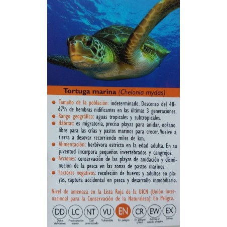 FIGURA TORTUGA MARINA