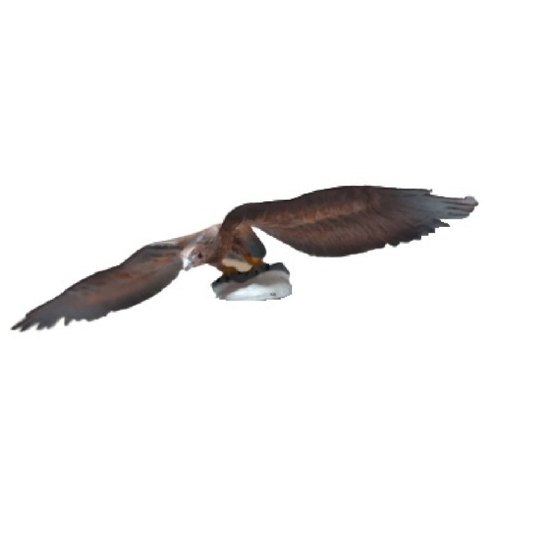 FIGURA AGUILA IMPERIAL IBERICA