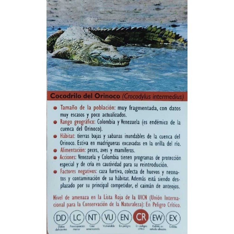FIGURA COCODRILO DEL ORINOCO