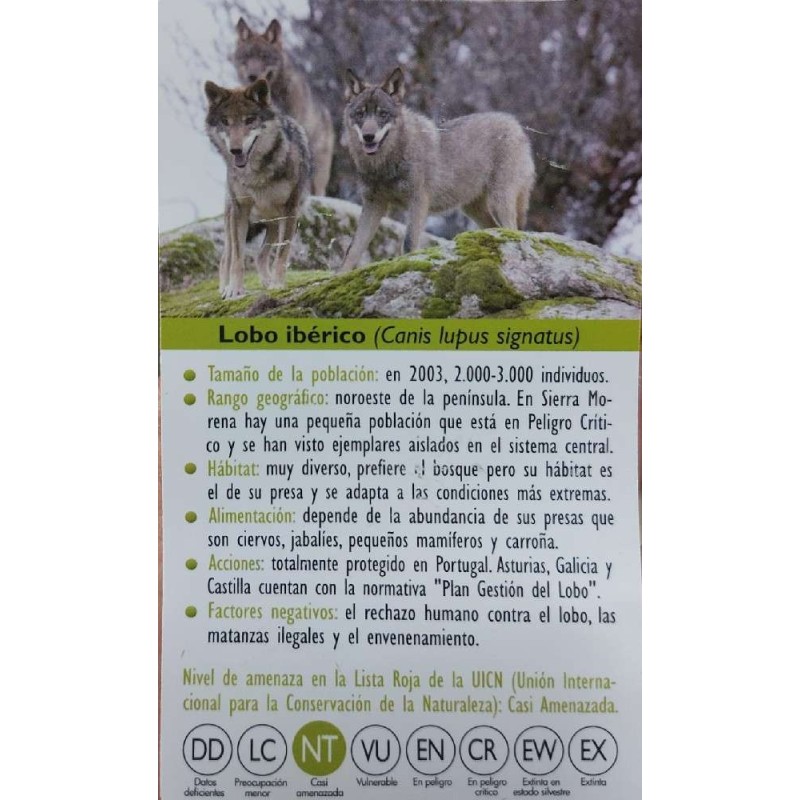 FIGURA LOBO IBERICO