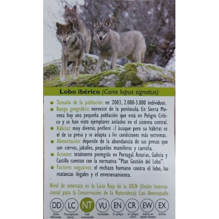 FIGURA LOBO IBERICO
