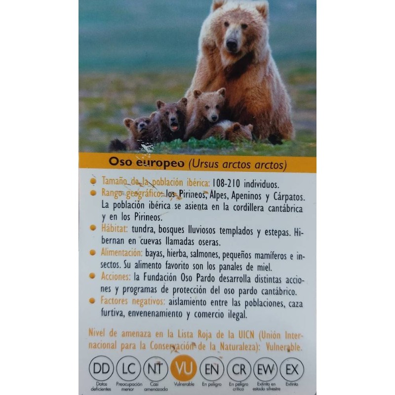 FIGURA OSO EUROPEO