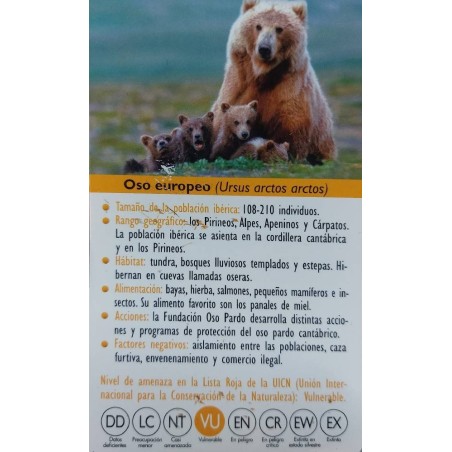 FIGURA OSO EUROPEO
