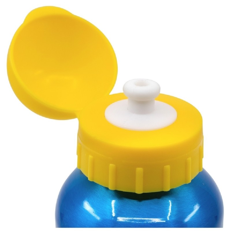 BOTELLA ALUMINIO PEQUEÑA 400 ML PAW PATR