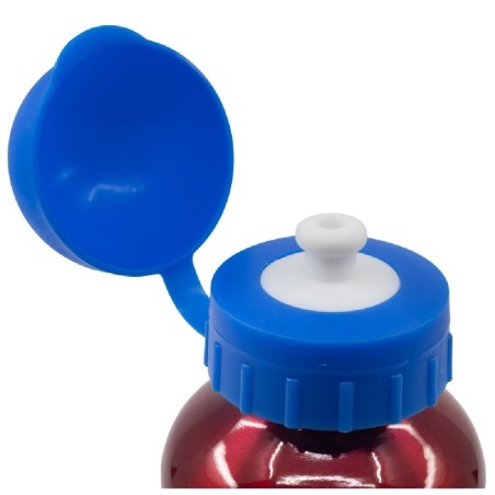 Spider-man Botella de aluminio para niño