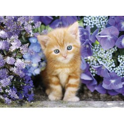 PUZZLE 500 PIEZAS Gatito rubio