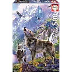 500 Lobos En Las Rocas