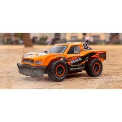 Nincoracers radical r/c