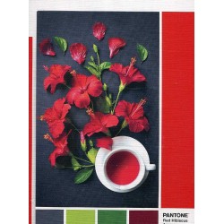 PUZZLE PANTONE 186, AROMA FLOR HIBISCO D