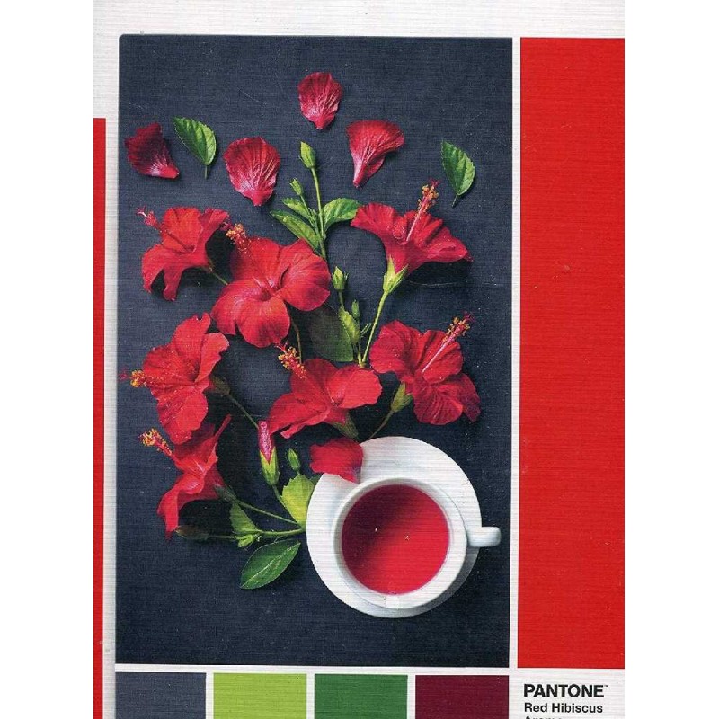 PUZZLE PANTONE 186, AROMA FLOR HIBISCO D