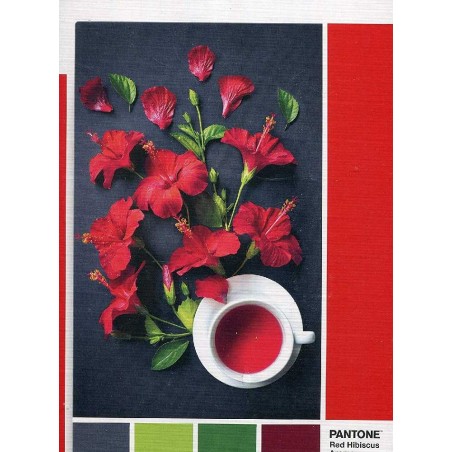 PUZZLE PANTONE 186, AROMA FLOR HIBISCO D