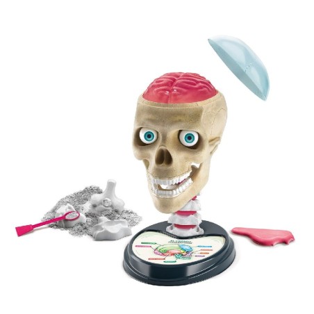 JUEGO EDUCATIVO ANATOMIA - FUERA DE CABE
