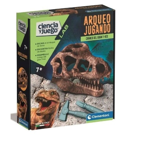 ARQUEOJUGANDO CRANEO DEL GRAN T-REX
