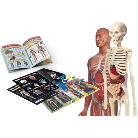 Laboratorio de Anatomía