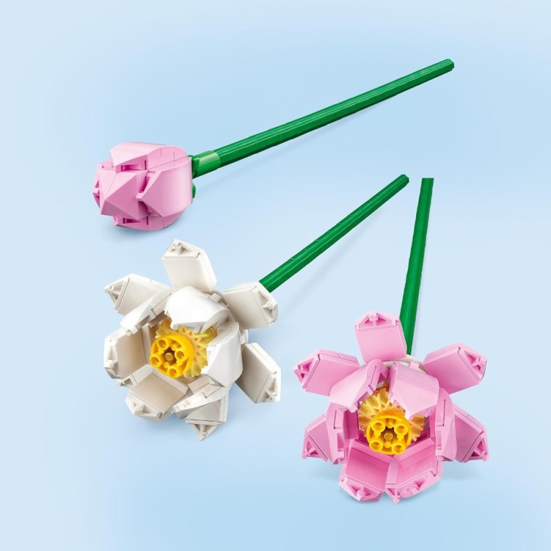 Flores de Loto