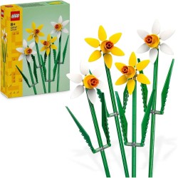 Narcisos