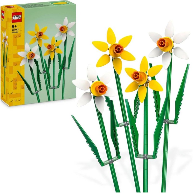 Narcisos