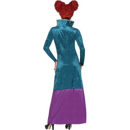 Disfraz Bruja Winifred Hocus (M)