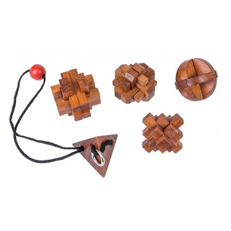 Set 5 Rompecabezas Grandes Mentes Mujer