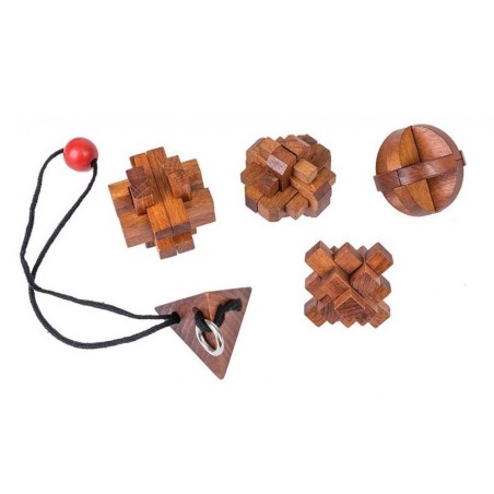 Set 5 Rompecabezas Grandes Mentes Mujer