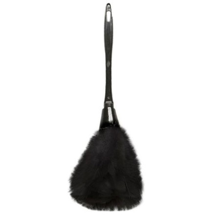 PLUMERO DE PLUMAS NEGRAS/BLANCAS