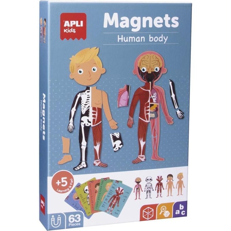 Juego didactico magnetico cuerpo humano