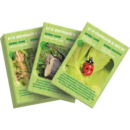 La Casa de los Insectos -ciencia y juego