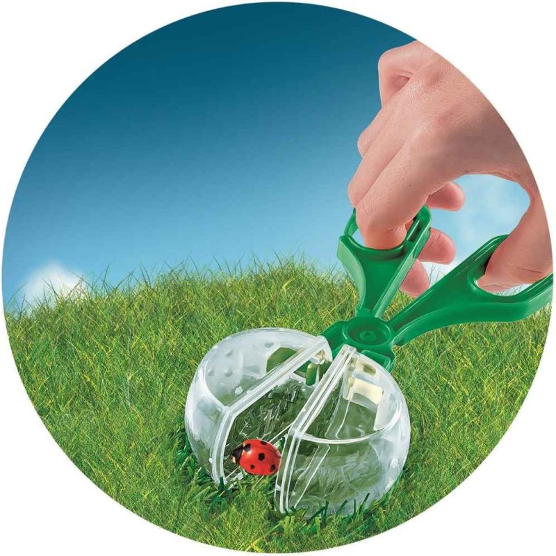 La Casa de los Insectos -ciencia y juego
