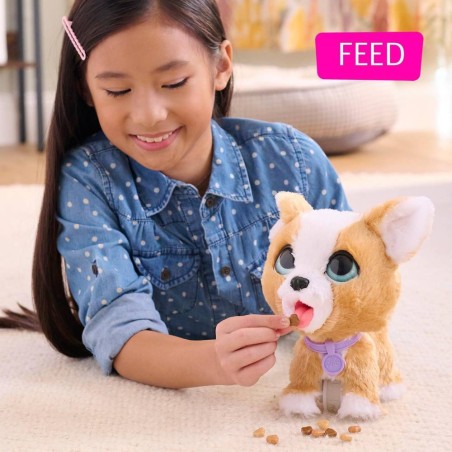 Peluche interact Corgi Poopalots FurReal