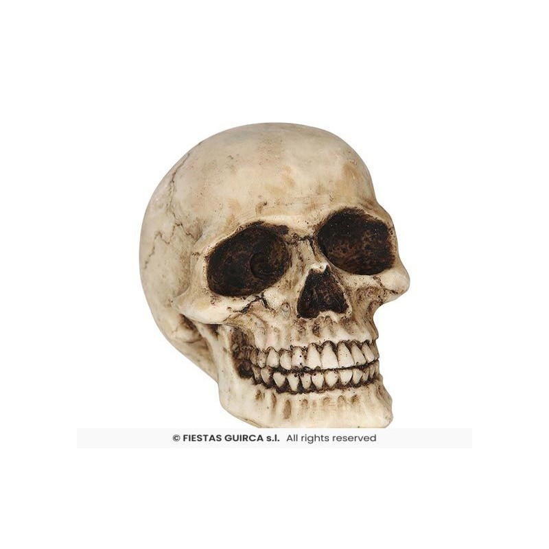 CALAVERA RESINA 8 CMS