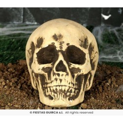 CALAVERA FOAM 22 CMS. 