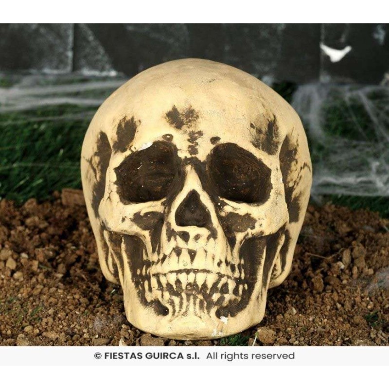 CALAVERA FOAM 22 CMS. 