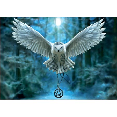Puzzle 500 despierta tu magia