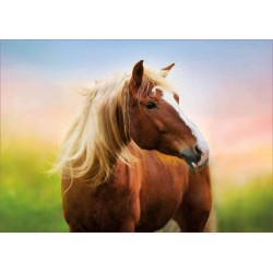 PUZZLE 500 PIEZAS  CABALLO AL AMANECER 2