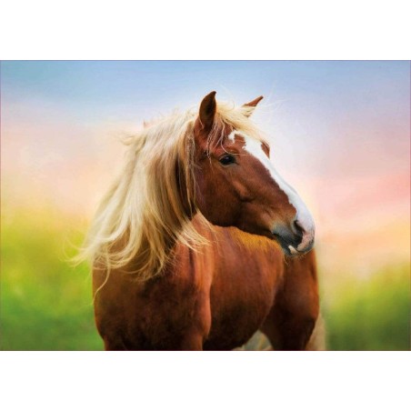 PUZZLE 500 PIEZAS  CABALLO AL AMANECER