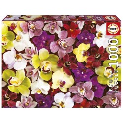 Puzzle 1000 collage de orquídeas