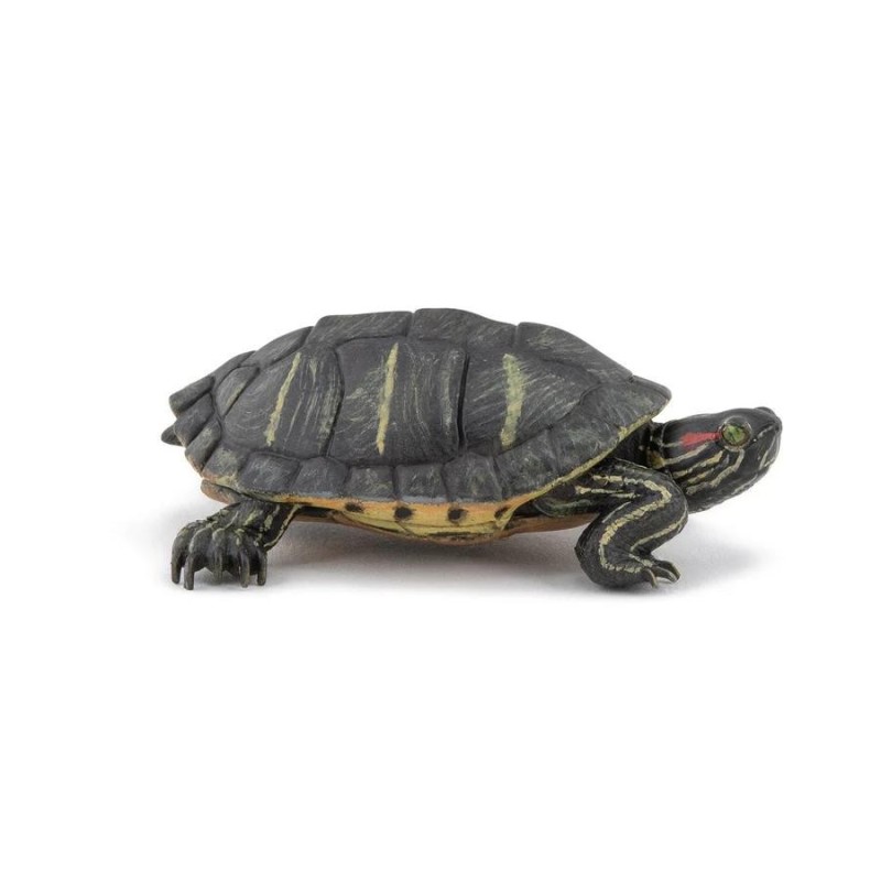 FIGURA TORTUGA DE FLORIDA ( PAPO ) 50309