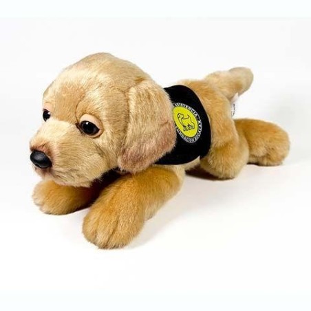 Peluche Perro Labrador Canela Con Chalec