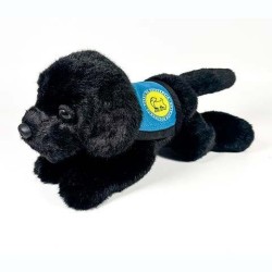 Peluche Perro Labrador Negro Con Chaleco