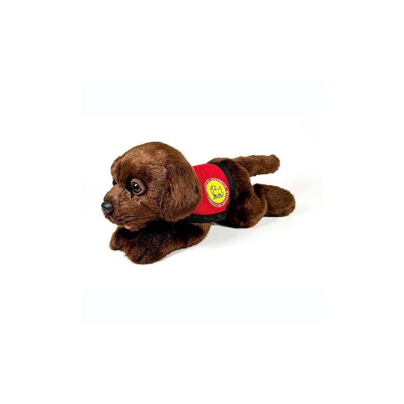 Peluche Perro Labrador Chocolate Con Cha