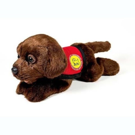 Peluche Perro Labrador Chocolate Con Cha