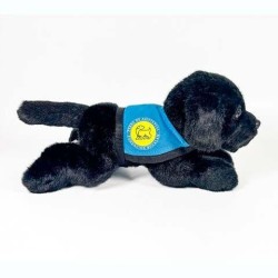 Peluche Perro Labrador Negro Con Chaleco 2
