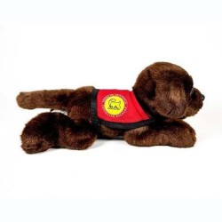 Peluche Perro Labrador Chocolate Con Cha 2